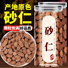 砂仁中药材正品500g旗舰店正宗阳春砂仁毛砂仁粉沙仁干果干货香料