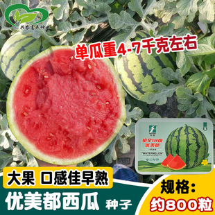 �r�￹��18�ȃ��������ϷN�������tȿ���ϷN������֭������