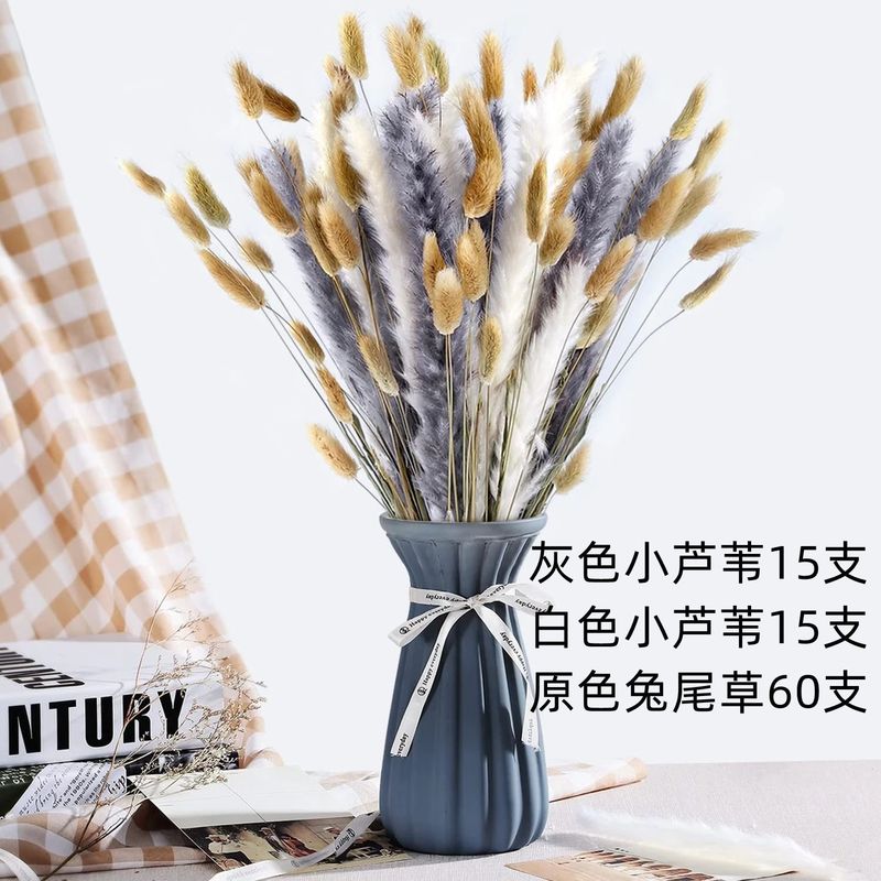 アマゾンはよく売れています。葦の花の花束です。|undefined