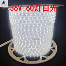 led灯带36V低压包胶高亮透镜防水铜板户外灯带厂家直批