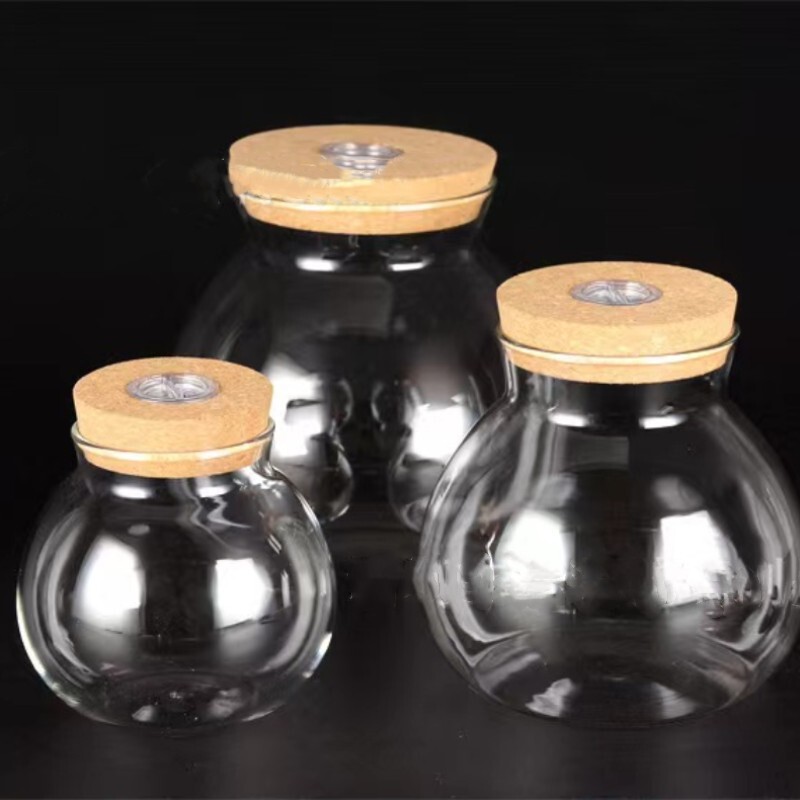 Manufacturer Wholesale Custom Hydroponic Flower Pots, Plant Glass with Lighted Bottles, Micro Landscape Ecological Bottles, Fish Tank Vessels, Miniature Display Items