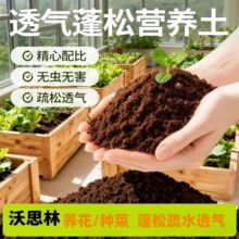 �N�˷N���ĠI�B���B����ͨ���ͼ��������������ЙC��̿�����Nֲ��