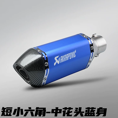 Motorcycle exhaust pipe, Exhaust Pipe Imitation Racing Street - 300mm-short-style-small-hexagon-medium-flower-head-blue-body