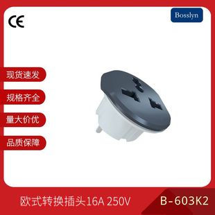 ���D�Q���^ �����n�����_˹�D���˚W���D�Q���� 16A 250V