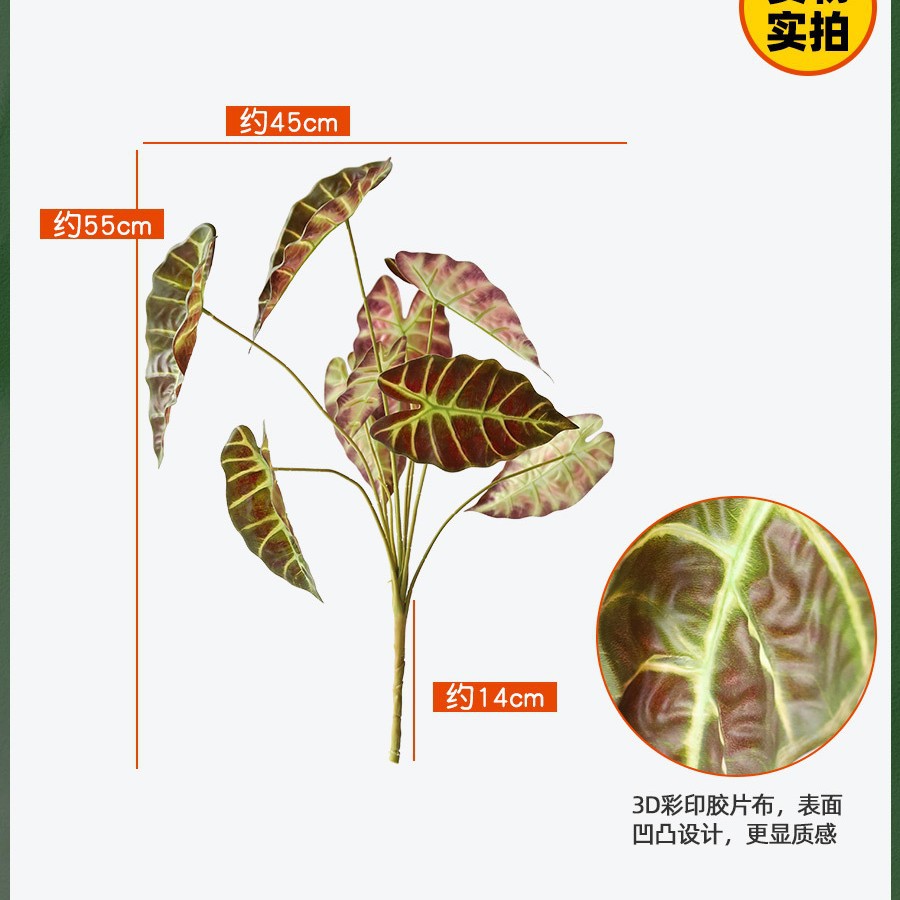 9 aloe leaves in green