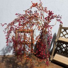 ����lؔ���t�����h�ٗl�{���������ѩ���h�b�ܛ�b�쾰������