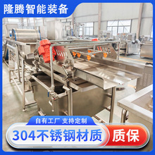 商用多功能涡流清洗机排骨去血水万能洗菜机龙须菜酸菜涡流清洗机