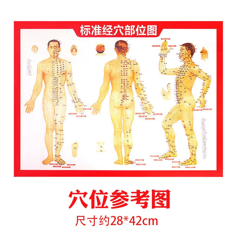 Оптовая продажа, диаграмма меридианов и акупунктурных точек человеческого тела, книга для мокса-терапии, иллюстрация, диаграмма, двусторонняя печать, диаграмма акупунктурных точек, диаграмма мокса-терапии, диаграмма акупунктуры