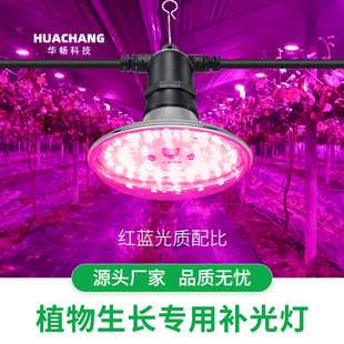 Brand New Grape Plant Growth Universal Fill Light Red and Blue Light 15W Full Spectrum Factory Wholesale Small Flying Saucer Light Bulb
