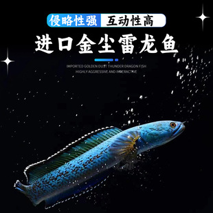 �M�ڽ��m�����~�^�p�~�~�����~�̲�Ѫ��һ���߲�������Ʒ���w�~
