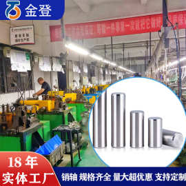 工厂直销圆柱销 五金配件紧固件镀锌电位器花轴转轴网纹圆柱销
