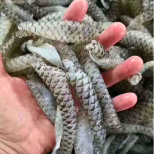 ���l ������r��ˮ�~Ƥ �_���~���~Ƥ �ݽ��������� �������r