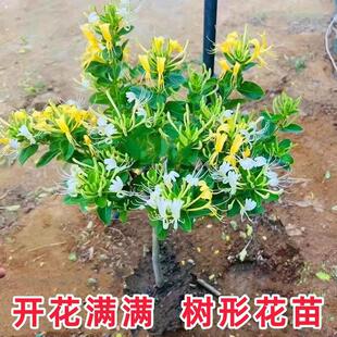�ļ����y�����ʳ���ݲ���������S�׽��y�������ͺ��ͺ�ͥԺ����