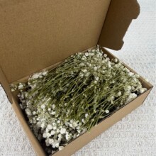 �������ɻ�����M����ɢ�b��֦diy���ĝM���ǻ��^�ɻ��������羳
