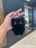 Black cat naked squeaking