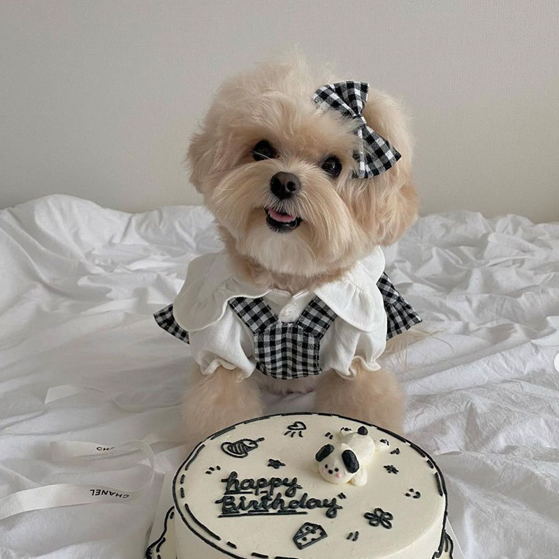 Estilo coreano primavera y verano perro camisa Plaid suspender falda traje gato houndstooth falda Teddy ropa para perros mascotas