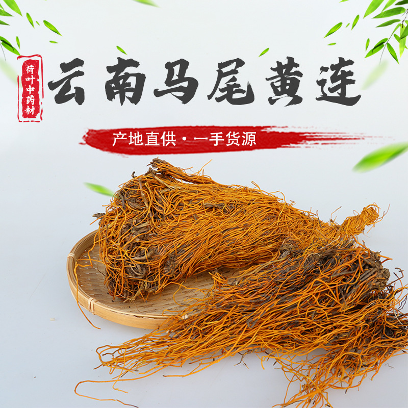 新货中药材马尾连 马尾黄连无硫马尾莲 草黄连 金丝马尾莲 唐松草