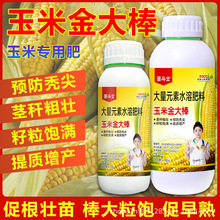 ���׽��������a�ʰ�������o���։ѿ��������������������L��