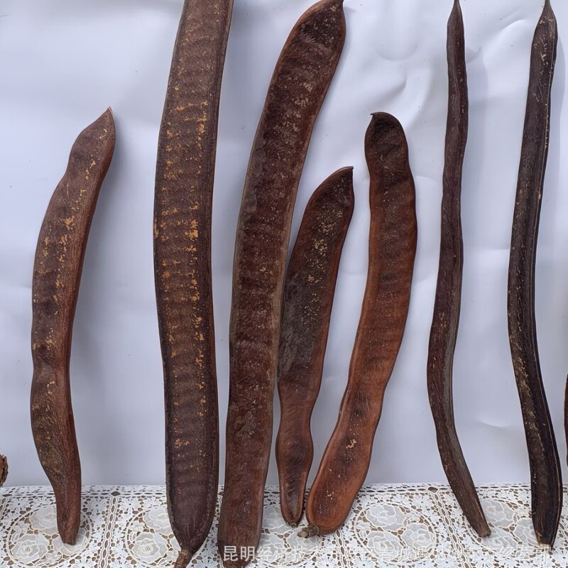 Jacaranda and phoenix wood long soap pods, handmade DIY rattling pods, natural plant-based forest-themed homestay decorations