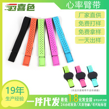 厂家直销可调节魔术贴表带松紧手腕带运动心率臂带莱卡心率表臂带