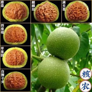 ����������¹�ñ�ߒ�������Ԫ������^�ת{���Ͻ�ʯ�Zˮ���r���l