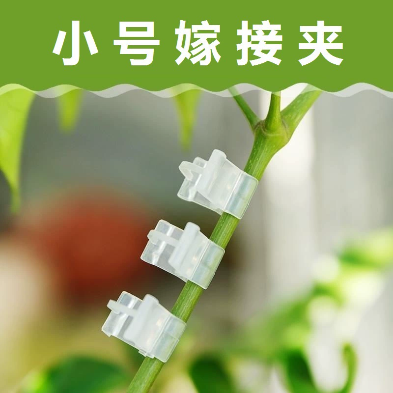 Помидор прививочный зажим для садоводства цветы, рассада, растения, овощи, фрукты, помидоры, пластиковые рассады, завязанные зажимы