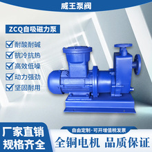 �S�ҹ������|����ʽ������ZCQ80-65-200���P�304�͸��g������