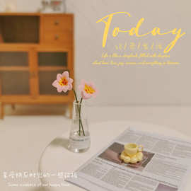 微缩百合向日葵郁金香插花盆栽玻璃瓶ob11娃娃屋配件车载摆件D521