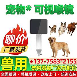 厂家动物喉镜 气管插管检查内窥镜 不锈钢喉镜LED鼻咽喉镜