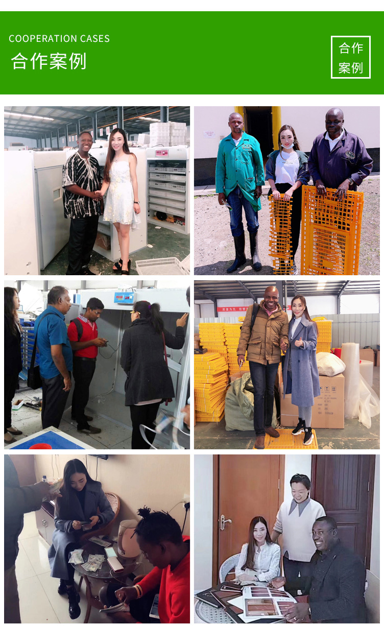 聊城綠色--(3)_08