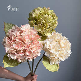 跨境 绣球花仿真花 干花系列 家居装饰摄影拍照道具婚庆