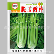 揭美脆玉西芹种子 甜脆芹菜种子 耐热耐抽苔原厂包装10克装
