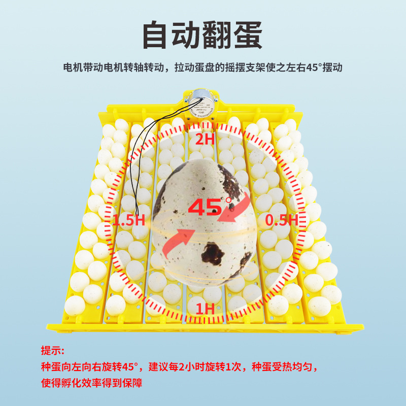 Equipo de incubación de suministro transfronterizo 154 canasta de flores tipo pájaro Placa de huevo incubadora automática Placa de huevo torneado automático de huevos