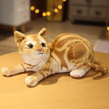 ����è�乫��ë�����Сè��ż�����޶�ͯŮ�����ﰲ����������