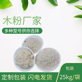 其他非金属;其他颜料;非金属粉末