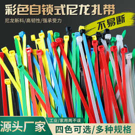彩色扎带厂家尼龙收纳封口带黄色红色蓝绿4*250*200塑料束线