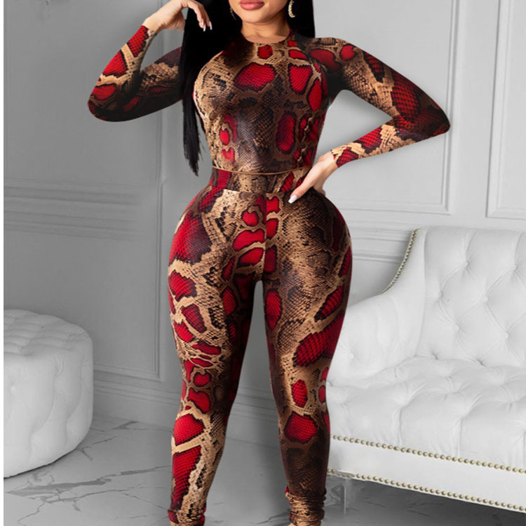 Slim Tight Snake Print Long-Sleeved Set NSYMA55300