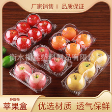 塑料保鲜水果包装盒苹果石榴打包盒透明果盒 厂家一次性水果礼盒