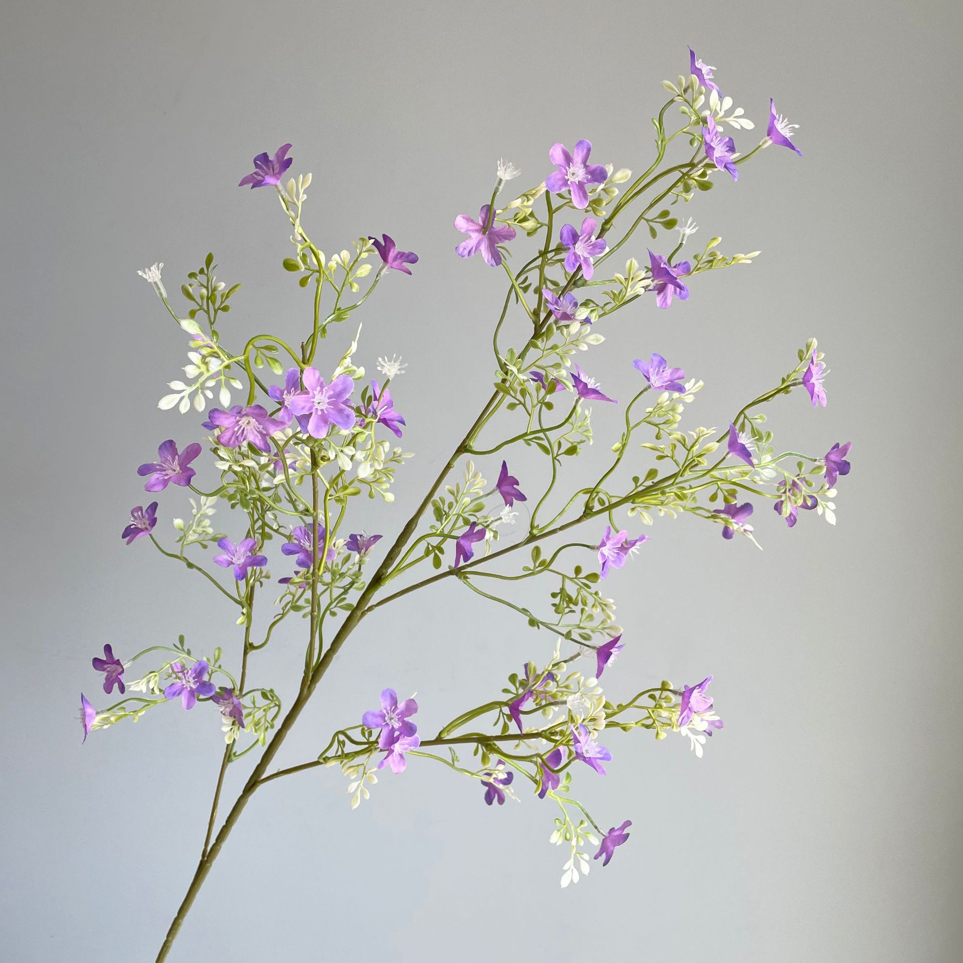 천성화 - 보라색