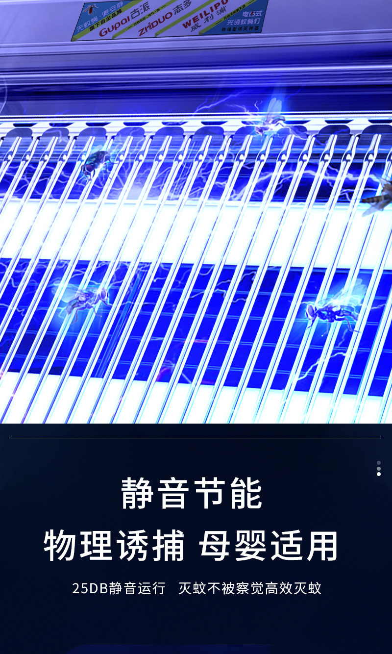 be9ab6fd-e861-45a7-a657-aee204503e3c.jpe