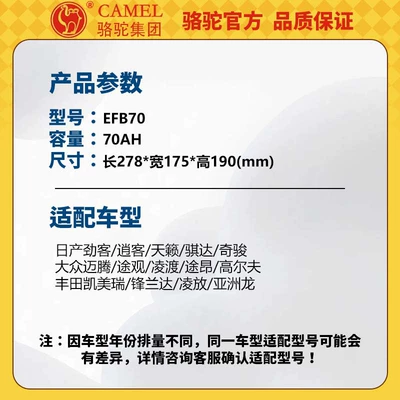Tanyue Envision, Car battery/battery