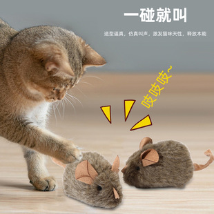 ؈��߷���н������ܸБ��lë�qС�������˽␞��؈�������