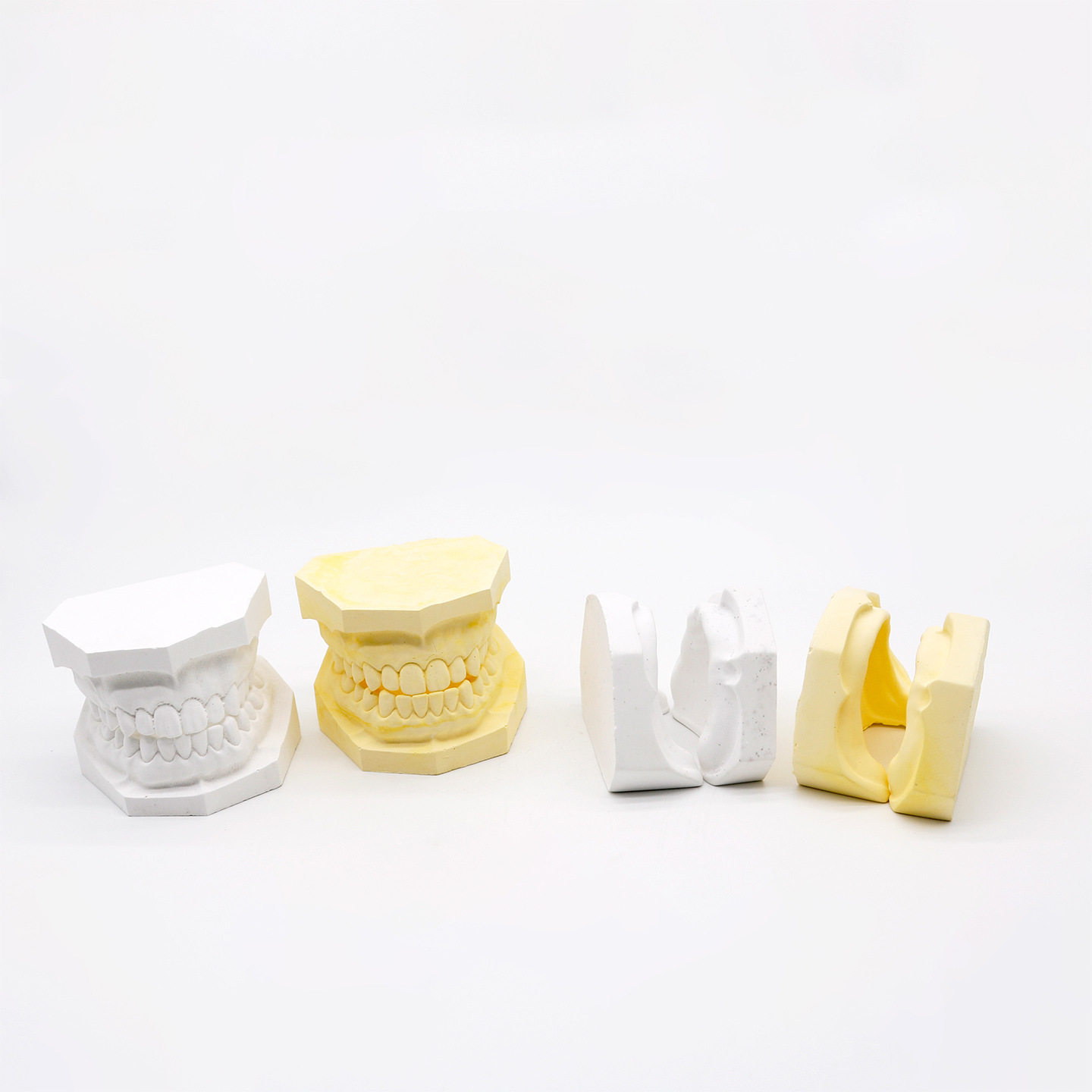 Modelo de yeso oral modelo de yeso dental enseñanza modelo de yeso dental modelo de yeso dental modelo de mandíbula superior e inferior modelo oral