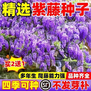 ���ٷN���ذ������}��N�ѻ��ܷN��������ֲ�����⹫�@���^����