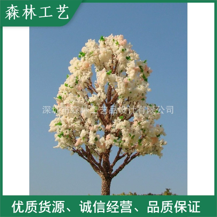 Студент Модель Учебник Модель поезда Дерево Песочный стол Модель дерева N163