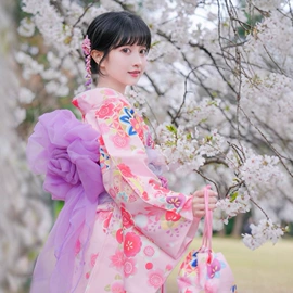 其他民族服饰;舞台/表演服;发夹