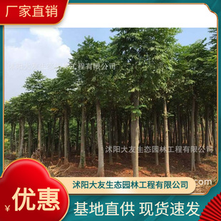 �������l �Ԯa���N����� ���^�쾰��·�@�ֹ��̾G����