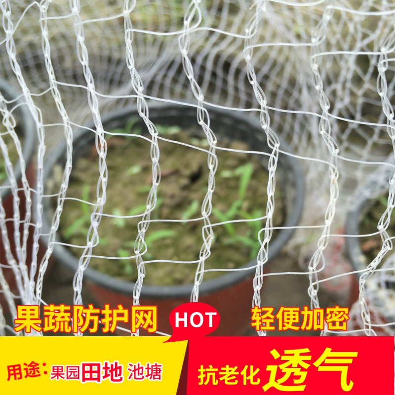 Для трансграничной защиты от птиц сетка для отпугивания птиц Садовая сетка для разведения птицы домашняя Садоводство прозрачная белая сетка для плодовых деревьев вишни