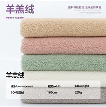 现货阿尔泰颗粒羊绒泰迪绒面料羊卷绒圈圈绒布毛绒玩具家居服布料