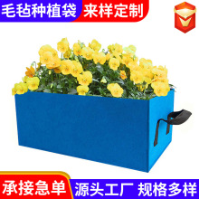 �羳���lë�ַNֲ�� �NֲͰ���܈@�֠I�Bֲ����߲����������